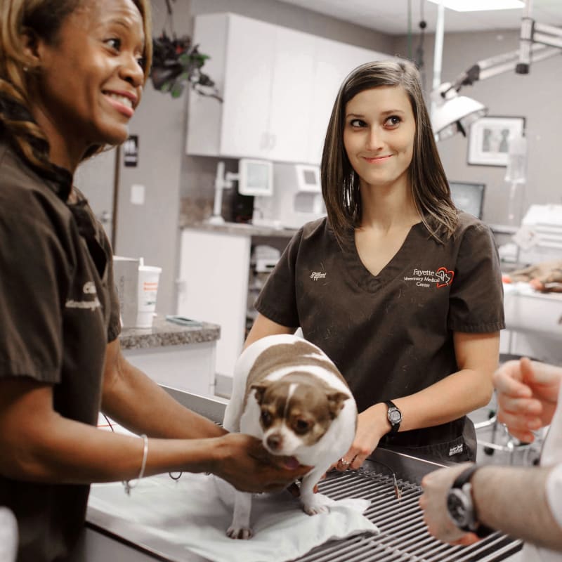 Fayette Veterinary Medical Center in Fayetteville