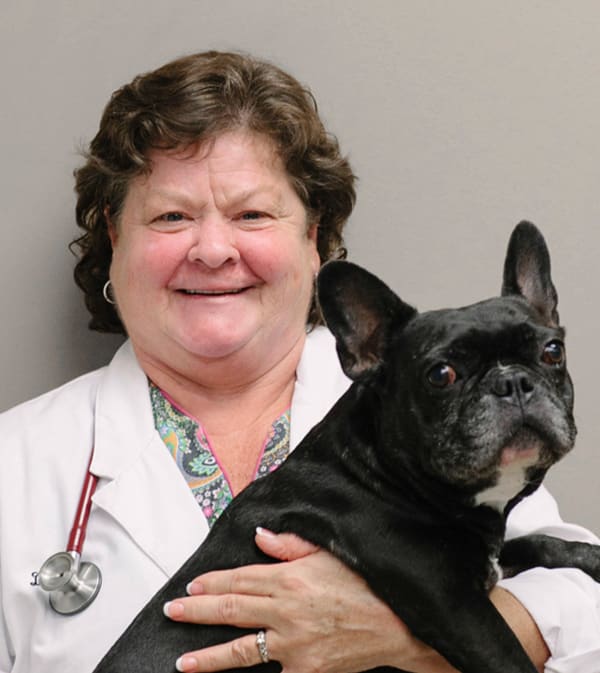 Dr. Lori Jones, Fayetteville Veterinarian