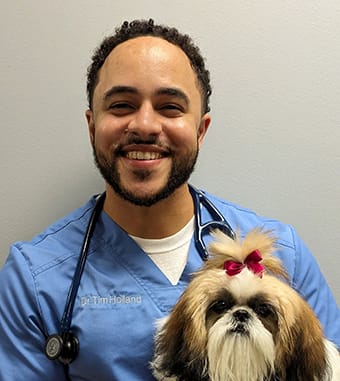 Dr. Tim Holland, Fayetteville Veterinarian