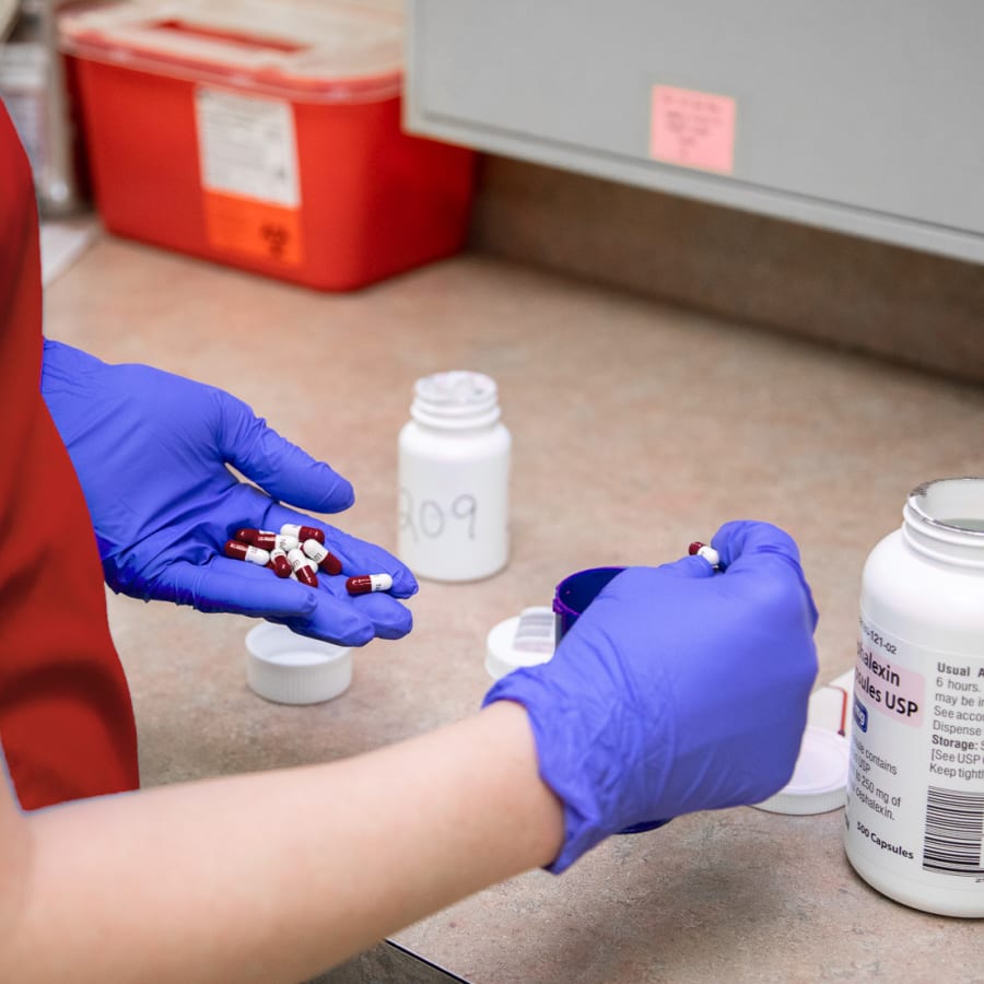 Internal Medicine Vet preparing pills in Fayetteville